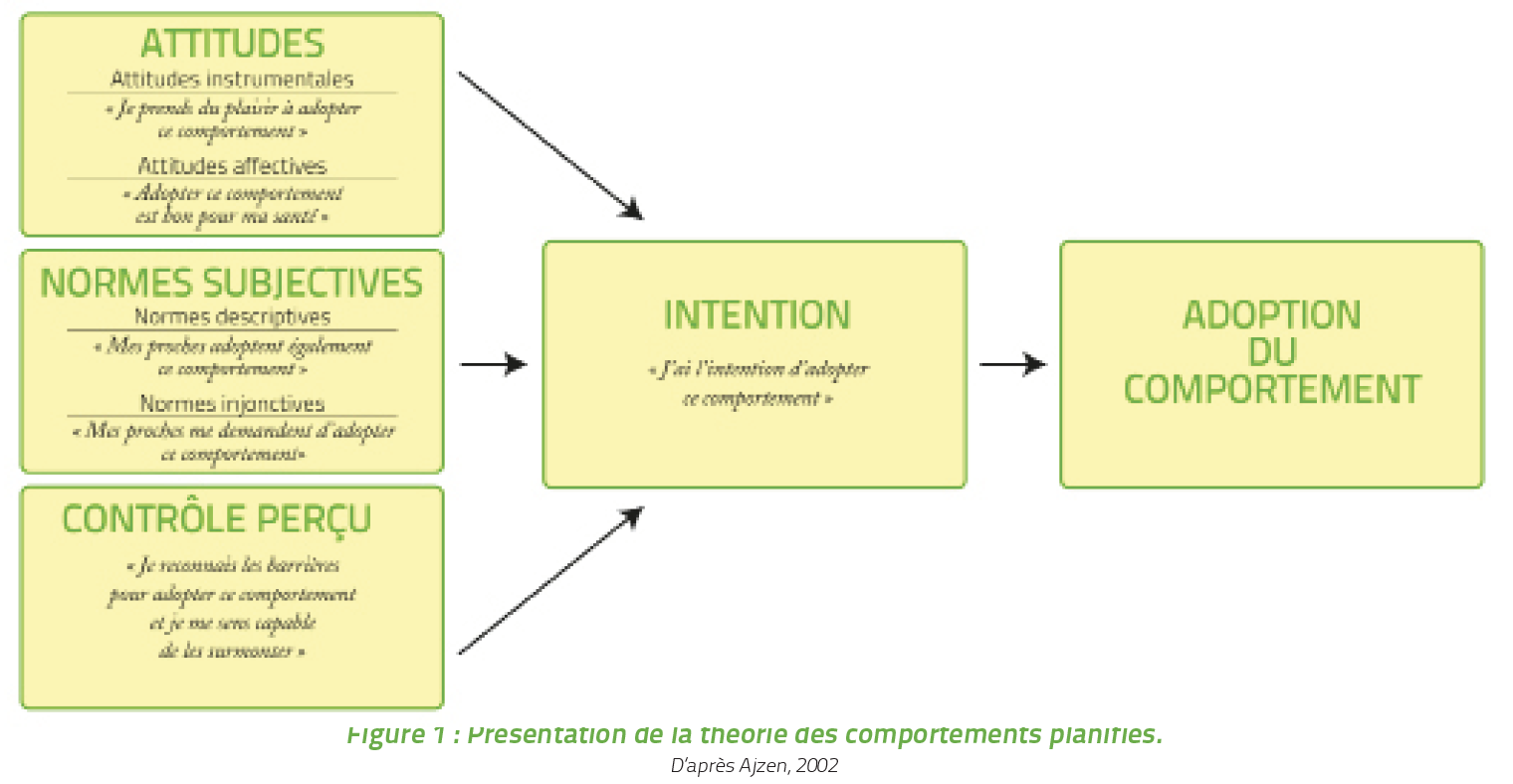 schéma de la présentation de la théorie des comportements planifiés, d’après Ajzen, 2002