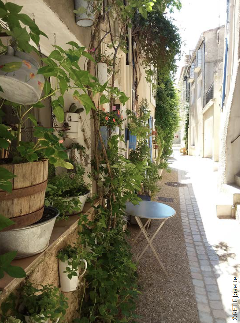 Photographie d'une ruelle de Narbonne investie de plante, prise dans le cadre d'un concours initié par le Grand Narbonne 