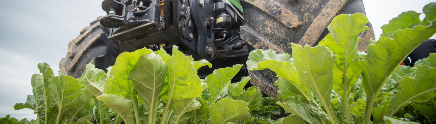 tracteur plantation betterave à sucre