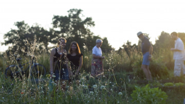 fête dans un champ nature moment social