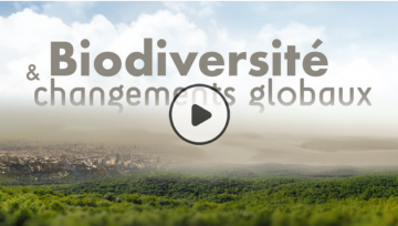 MOOC : Biodiversité et changements globaux