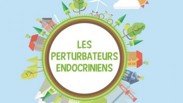 Une sphère avec au centre les perturbateurs endocriniens en texte