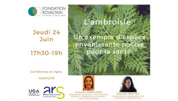 Conférence sur l'ambroisie