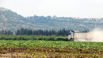 Utilisation et impacts des produits phytosanitaires : que fait l’État ?