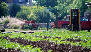 Les risques des produits phytosanitaires pour la santé