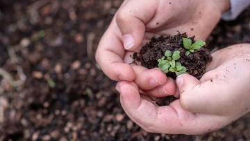 Semons la biodiversité