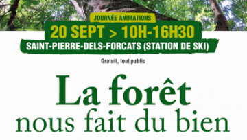 forêt bien 