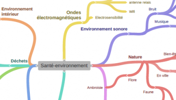 carte mentale santé environnement