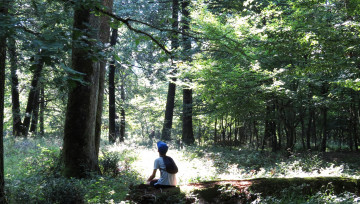enfant qui regarde la forêt 