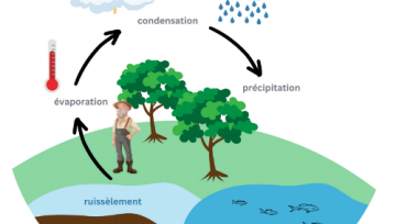 Cycle de l'eau