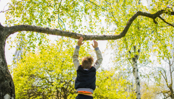 Enfant sur une branche