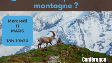 Dégradation du permafrost : Quelles conséquences en montagne ?