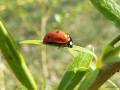 Nature & Biodiversité