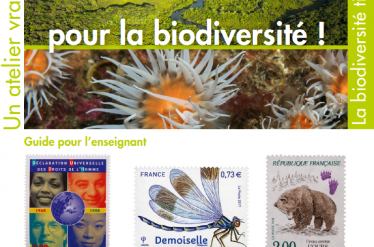 Connaitre comprendre agir pour la biodiversité 