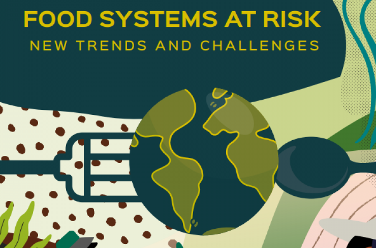 Food systems at risk