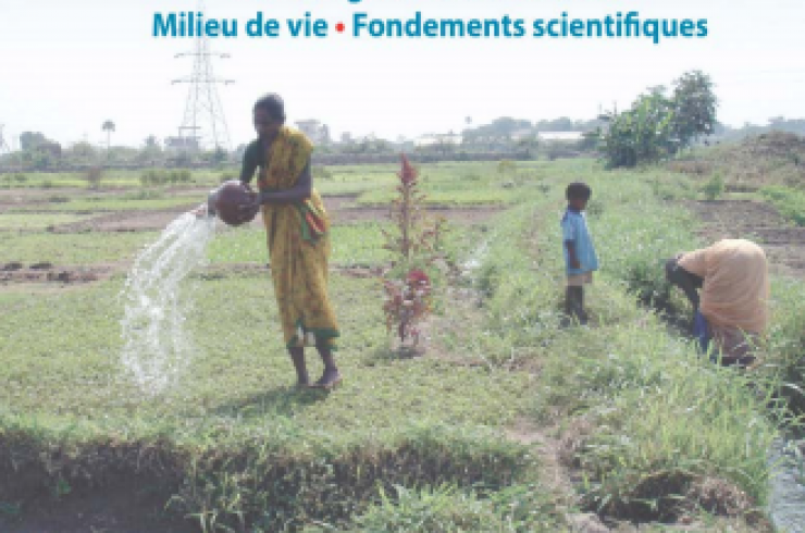 Santé et environnement