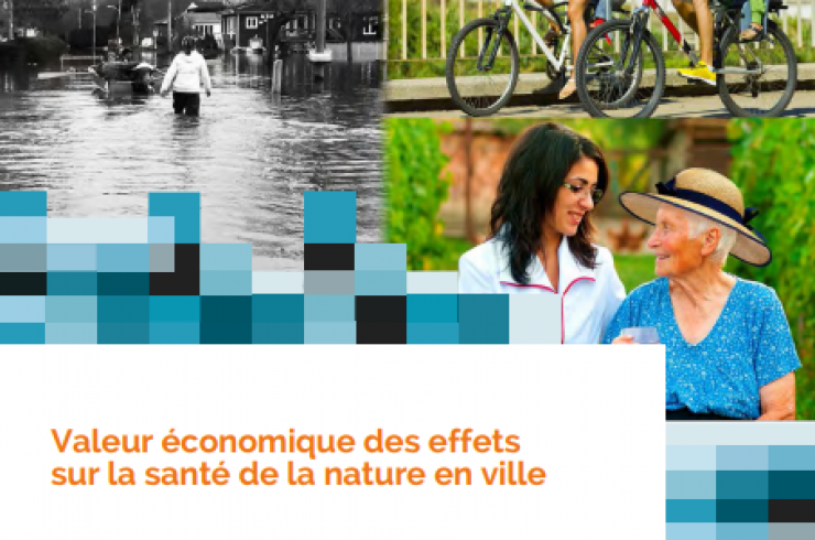 Valeur économique des effets sur la santé de la nature en ville