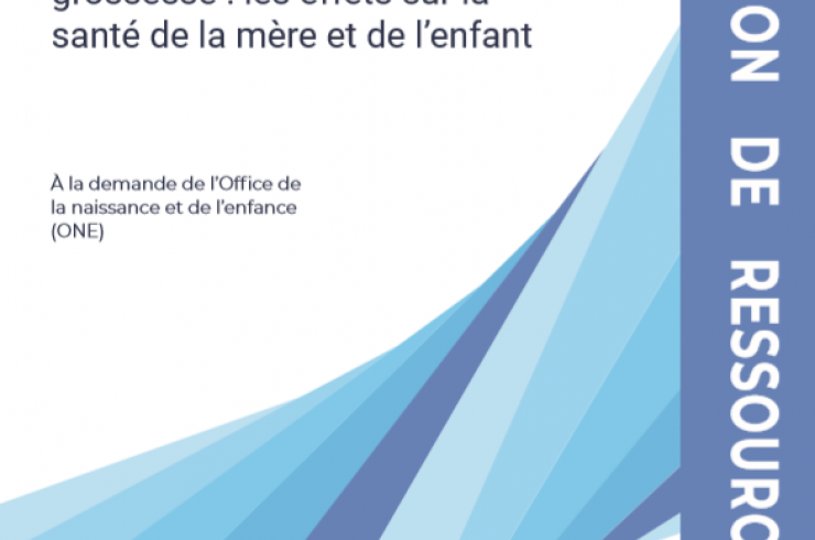 Pollution atmosphérique et grossesse : Les effets sur la santé de la mère et de l'enfant. Sélection de ressources