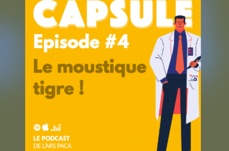 Capsule : Le moustique tigre !