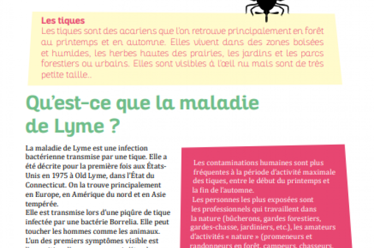 La maladie de Lyme