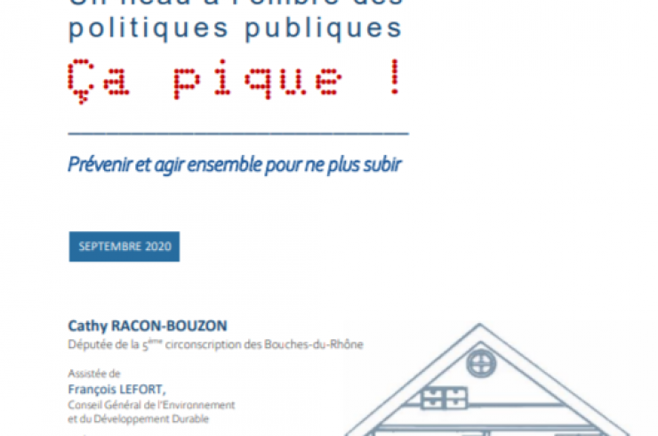 La punaise de lit : Un fléau à l'ombre des politiques publiques