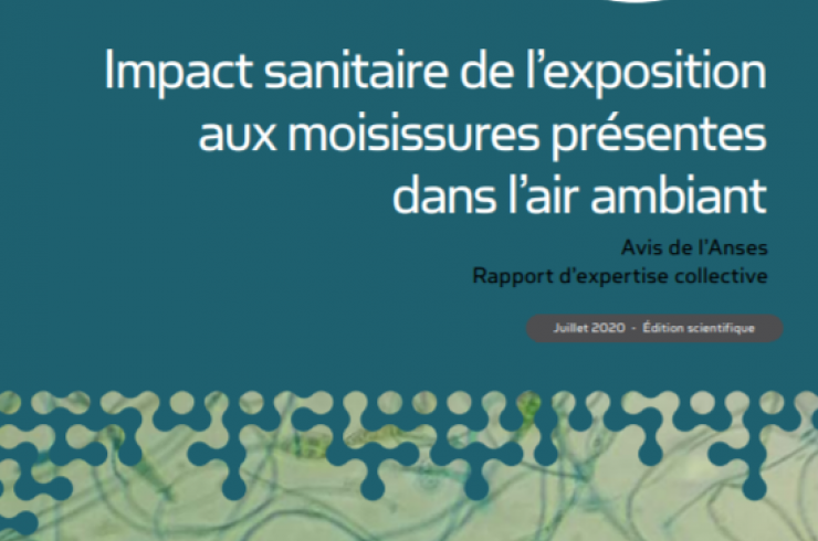 Impact sanitaire de l'exposition aux moisissures présentes dans l'air ambiant