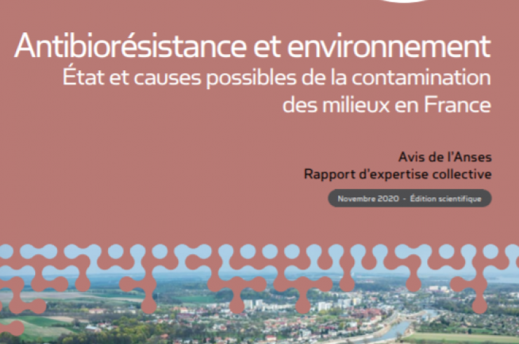 Antibiorésistance et environnement : Etat et causes possibles de la contamination des milieux en France