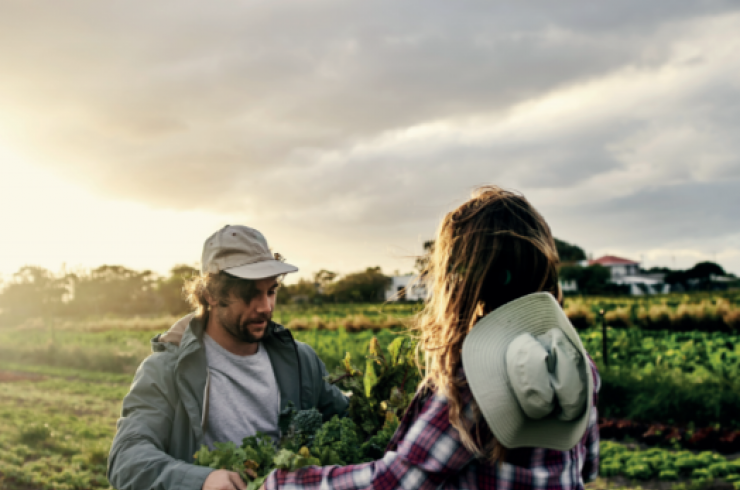 Pour une alimentation durable ancrée dans les territoires