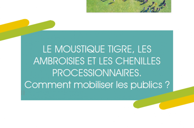 Séminaire ambroisie, moustique tigre et chenille processionnaire : comment mobiliser les publics ?