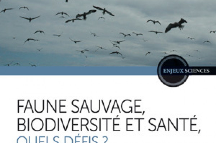 Faune sauvage, biodiversité et santé : Quels défis ?