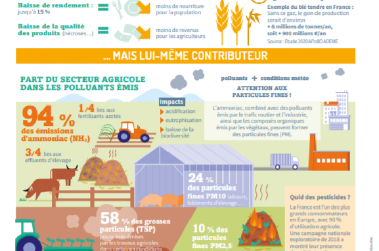 Agriculture et pollution de l'air : Quel rapport ?