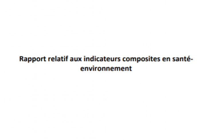 Rapport relatif aux indicateurs composites en santé-environnement