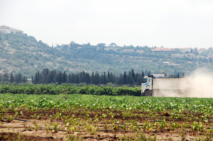 Utilisation et impacts des produits phytosanitaires : que fait l’État ?