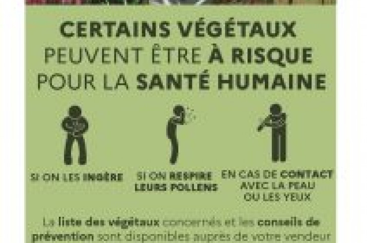 Affiche Certains végétaux peuvent être à risque pour la santé humaine