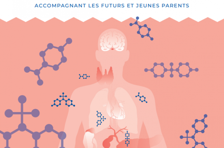 Les perturbateurs endocriniens