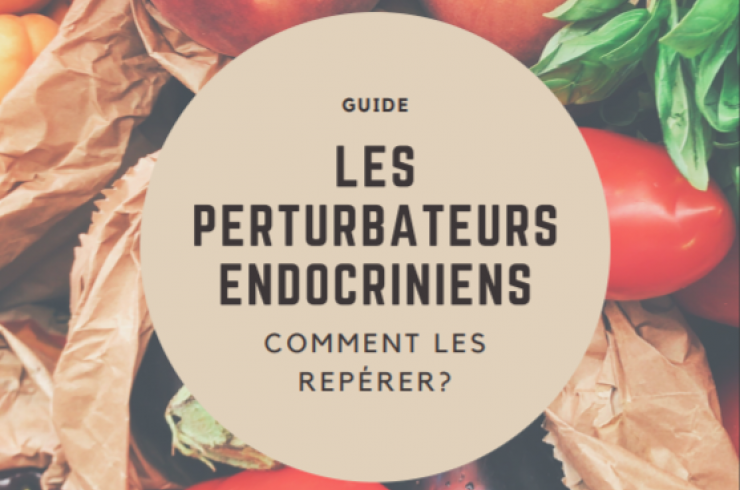 Les perturbateurs endocriniens : Comment les repérer ?