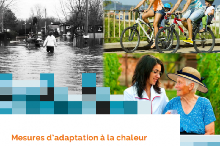 Mesures d'adaptation à la chaleur : Rapport de synthèse