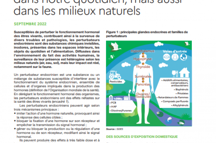 Perturbateurs endocriniens : dans notre quotidien, mais aussi dans les milieux naturels