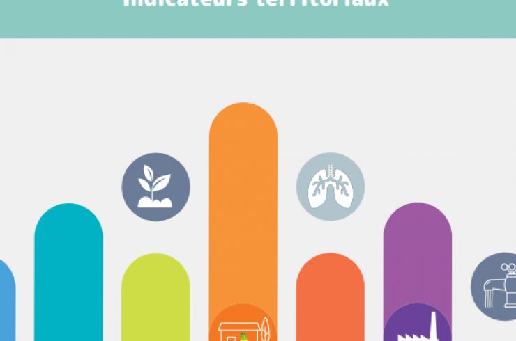 Environnement, un déterminant pour la santé : Indicateurs territoriaux