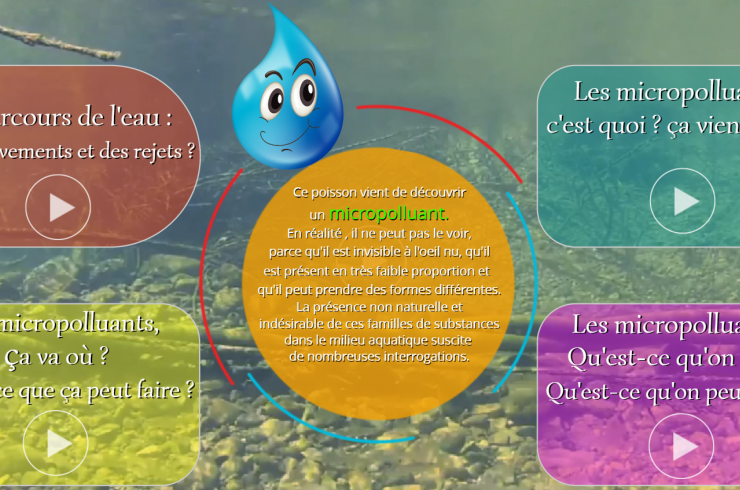 Le sens de l'eau : Le parcours des micropolluants