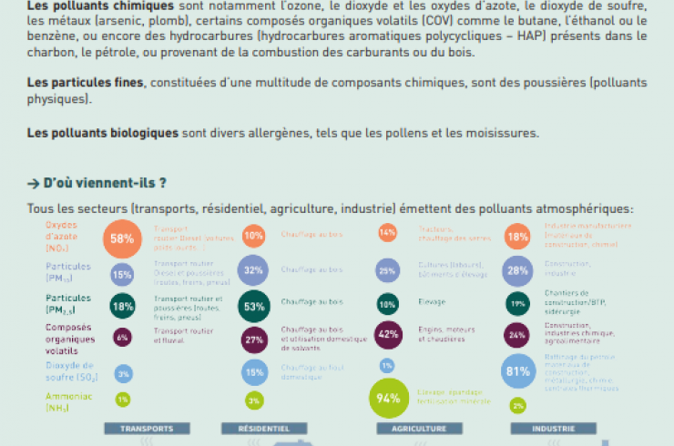 La pollution de l'air extérieur : Quels effets sur notre santé ?