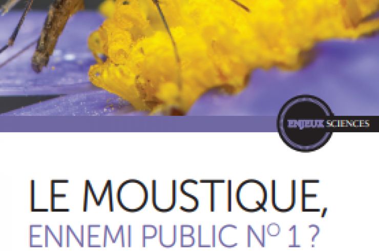 Le moustique, ennemi public n°1 ?