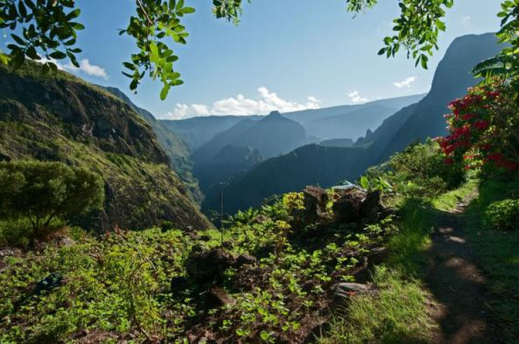 Redonner sa place à l'agriculture : le projet alimentaire du cirque de Mafate (La Réunion)