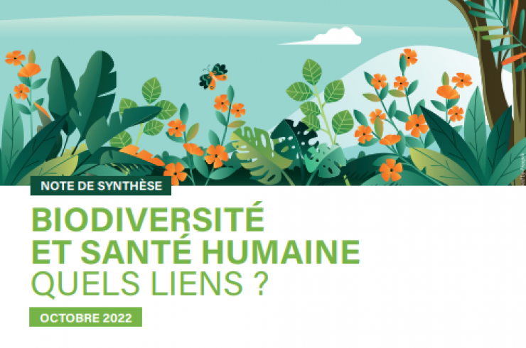 Biodiversité et santé humaine : Quels liens ?