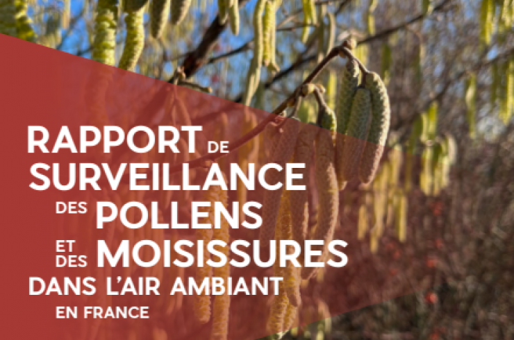 Rapport de surveillance des pollens et des moisissures dans l'air ambiant en France : 2022