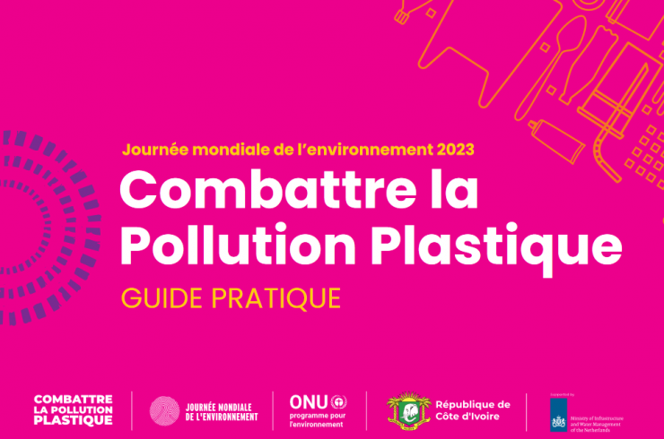 pollution plastique