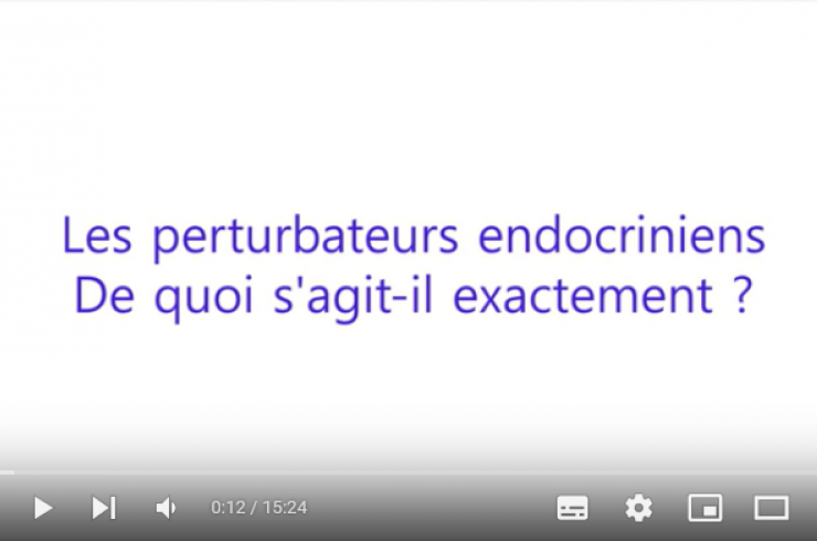 les perturbateurs endocriniens 