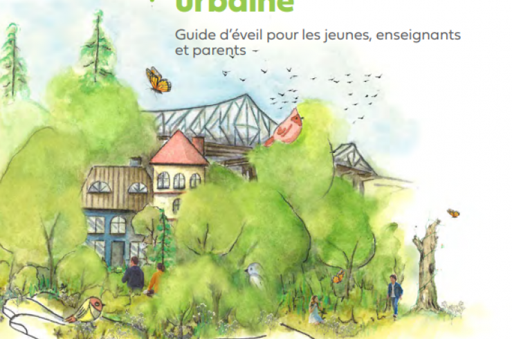 Gros plan sur la biodiversité urbaine