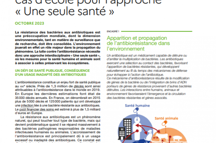 Lutte contre l'antibiorésistance : Cas d'école pour l'approche Une seule santé