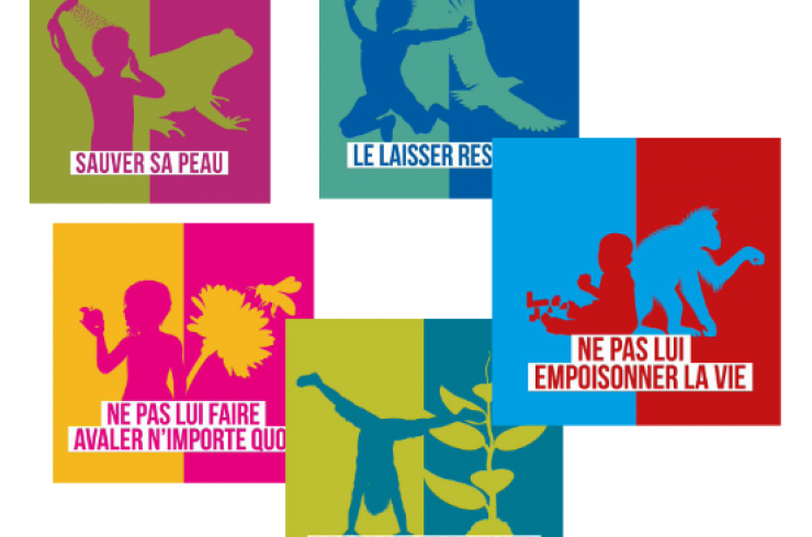 visuels campagne